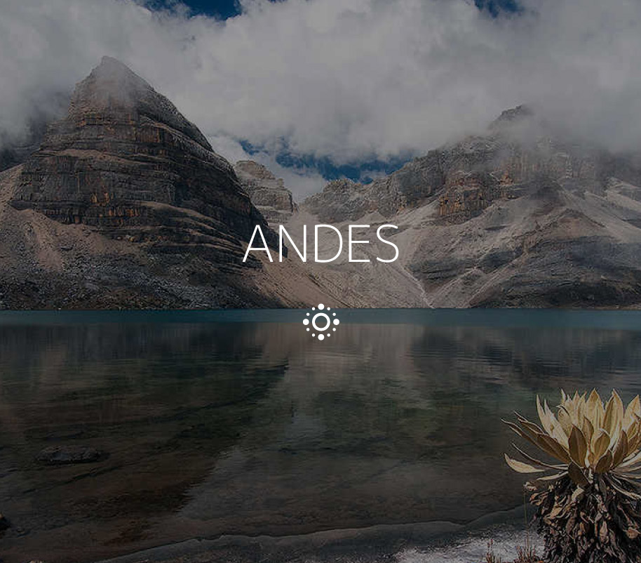 Andes