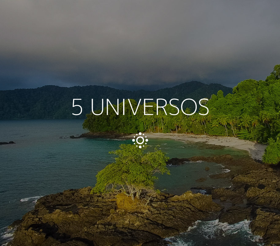 5 Universos